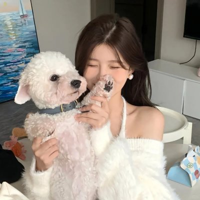 甄嬛传